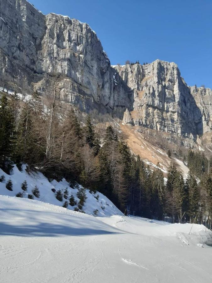 Place Royale Pour 10 A 12 Personnes A 30 Met Des Pistes De Ski Et Vtt Métabief Εξωτερικό φωτογραφία